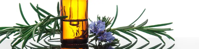 Oil With Rosemary