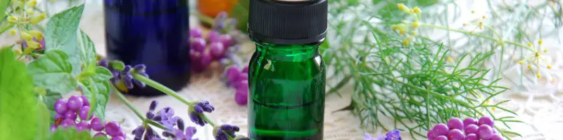 Herbs and Essential Oil Bottles
