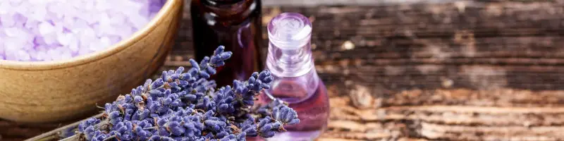 Lavender Oils and Plants