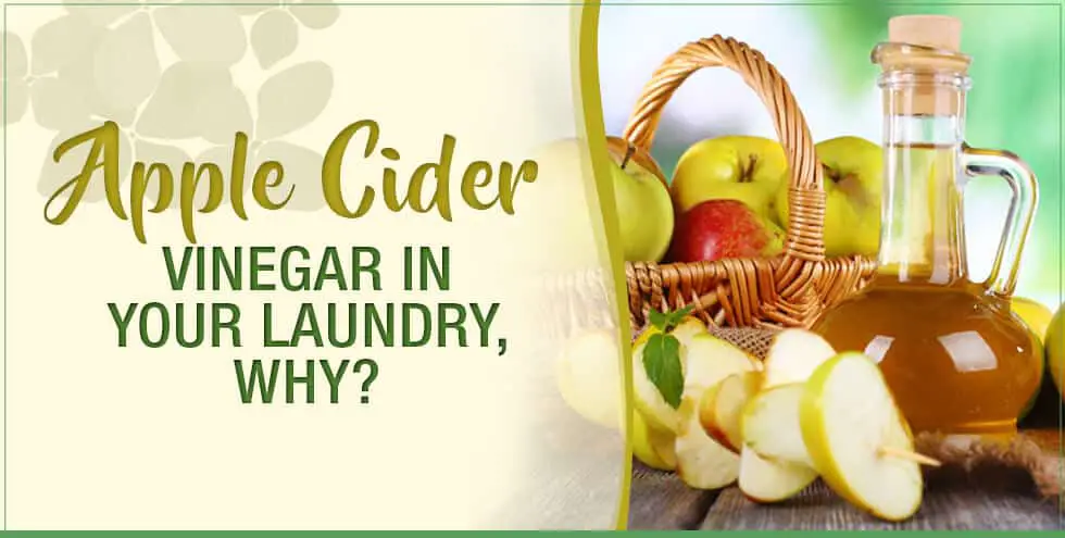 Apple Cider Vinegar in Your Laundry, Why?