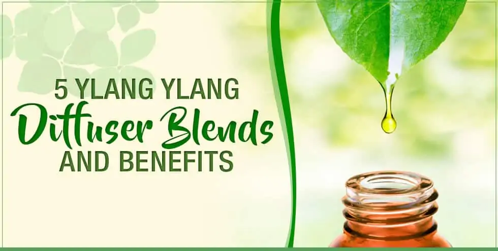 5 Ylang Ylang Diffuser Blends and Benefits