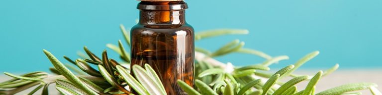 10 Eucalyptus and Peppermint Benefits and Uses - Essential Oils Us