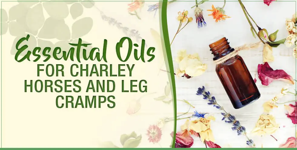 Essential Oils For Charley Horses and Leg Cramps