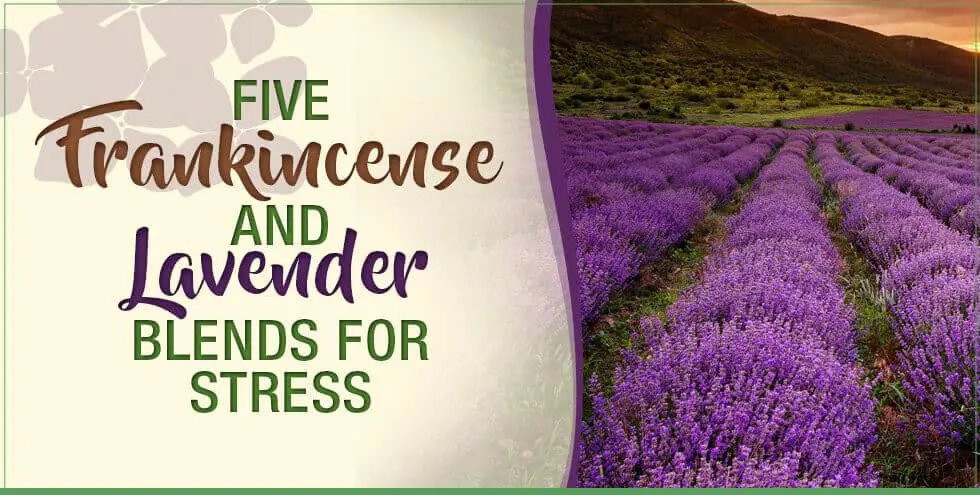 5 Frankincense and Lavender Blends For Stress