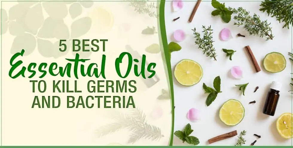 5 Best Essential Oils to Kill Germs and Bacteria