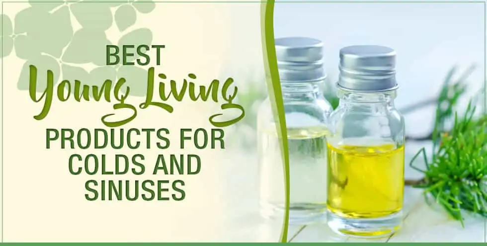 Best Young Living Products For Colds and Sinuses