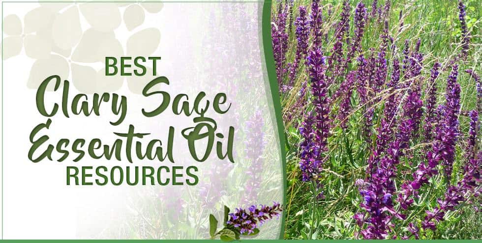 Best Clary Sage Essential Oil Resources