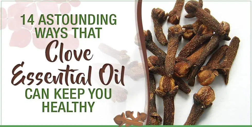 14 Astounding Ways That Clove Essential Oil Can Keep You Healthy