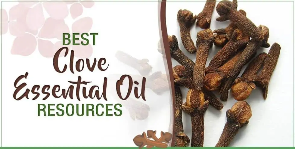 Best Clove Essential Oil Resources