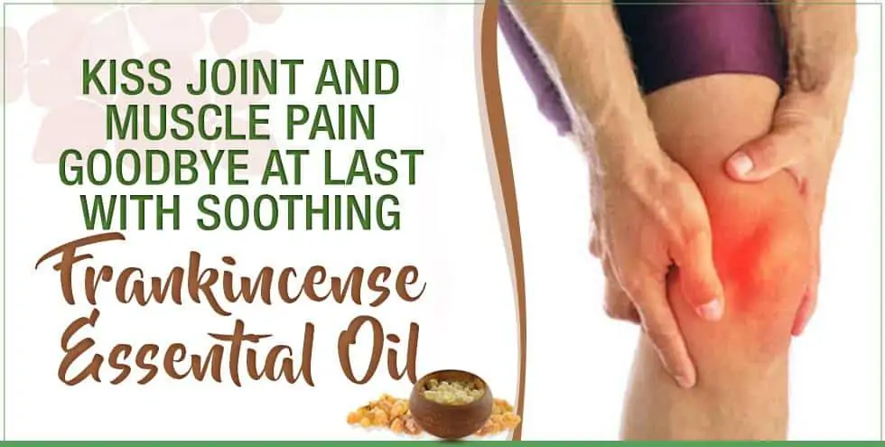 Kiss Joint And Muscle Pain Goodbye At Last With Soothing Frankincense Essential Oil