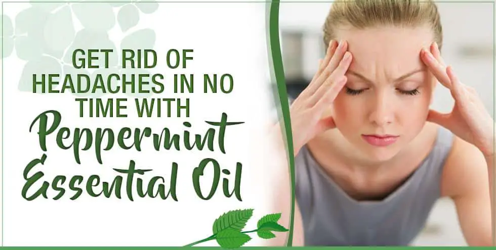 Get Rid Of Headaches In No Time With Peppermint Essential Oil