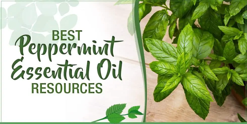 Best Peppermint Essential Oil Resources