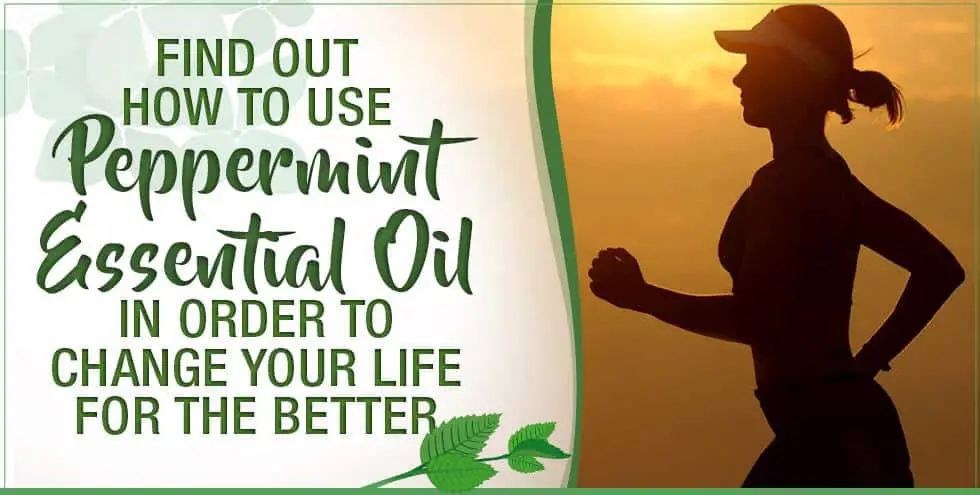 Find Out How To Use Peppermint Essential Oil In Order To Change Your Life For The Better