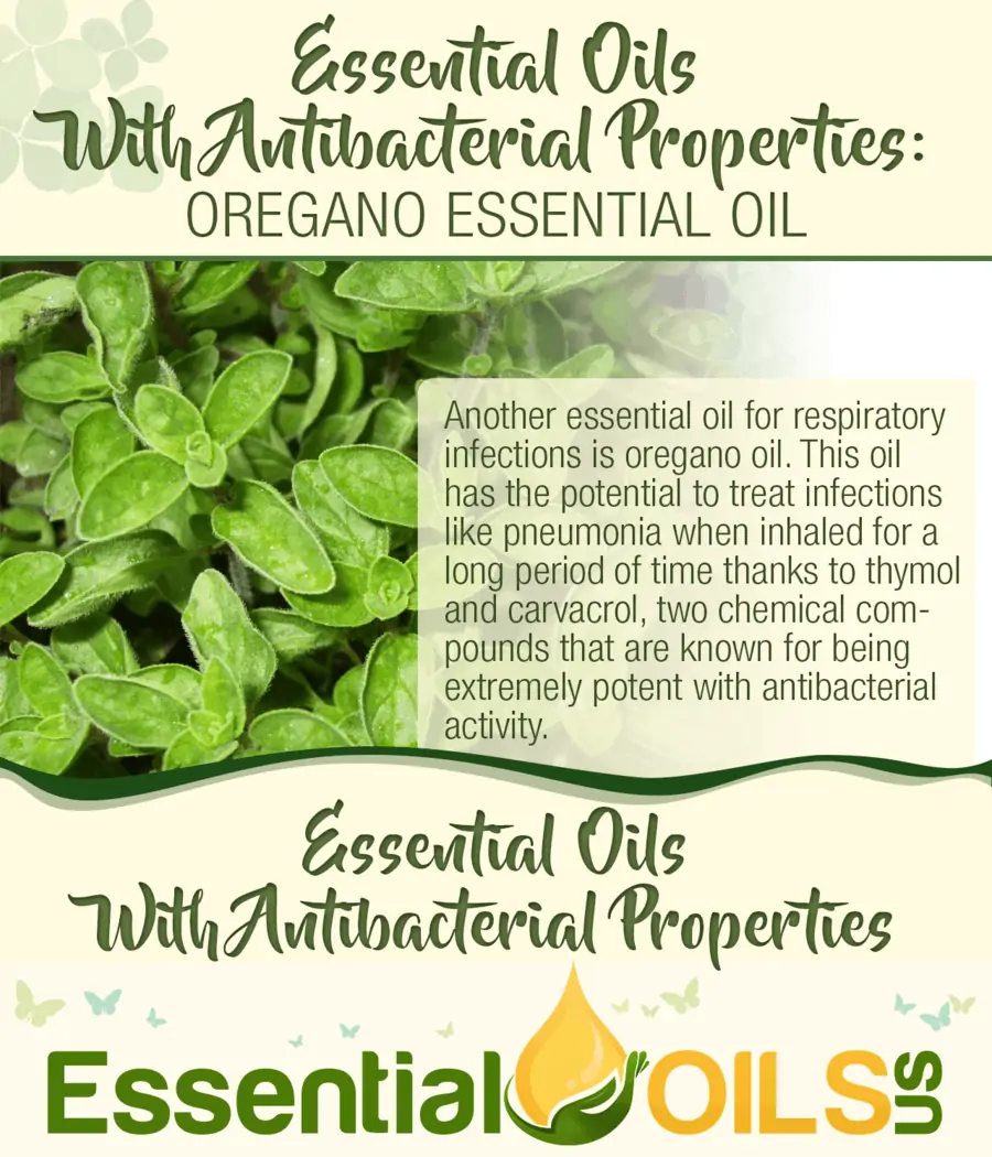 These Must-Have Essential Oils Can Kill Bacteria On Contact - Essential ...
