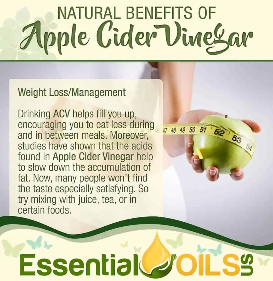 Apple Cider Vinegar Benefits - Weight Loss/Management