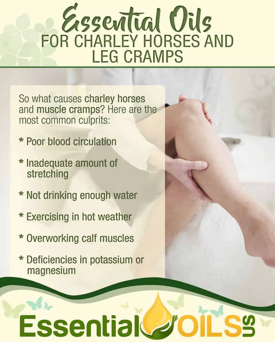 Charley Horses Causes