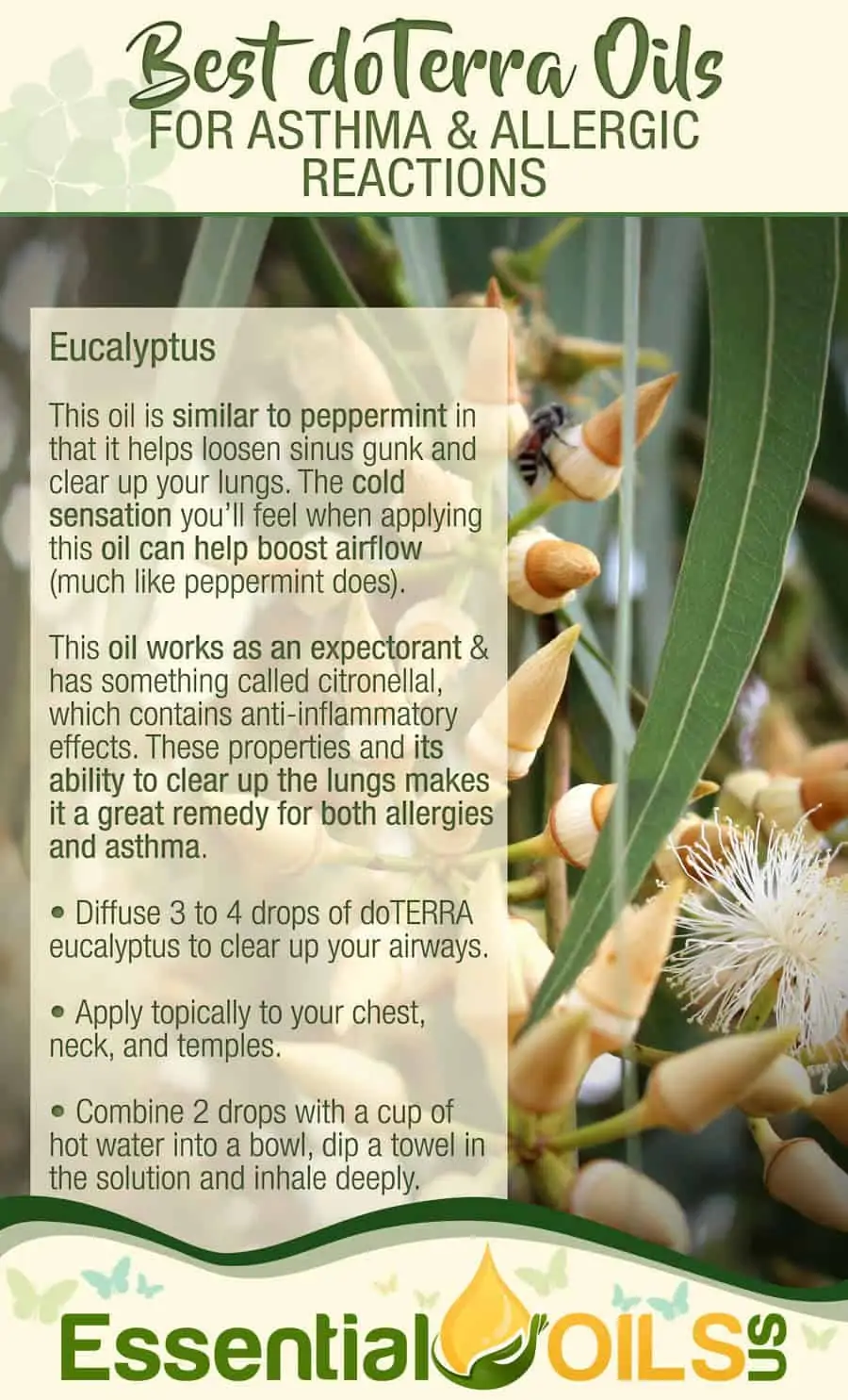 doTerra Essential Oils For Asthma And Allergy - Eucalyptus