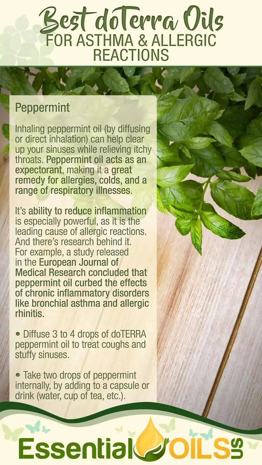 doTerra Essential Oils For Asthma And Allergy - Peppermint