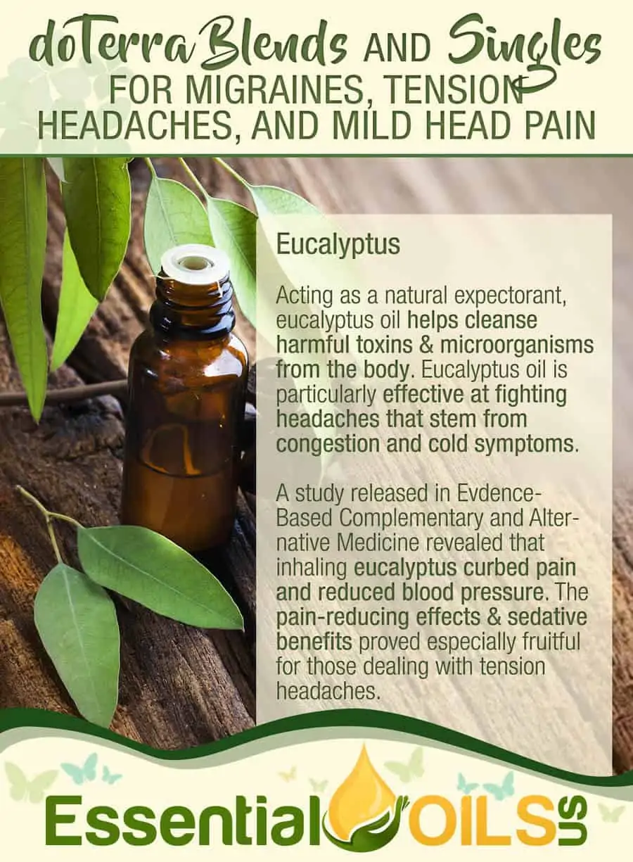 doTERRA Essential Oils To Ease Migraines - Eucalyptus