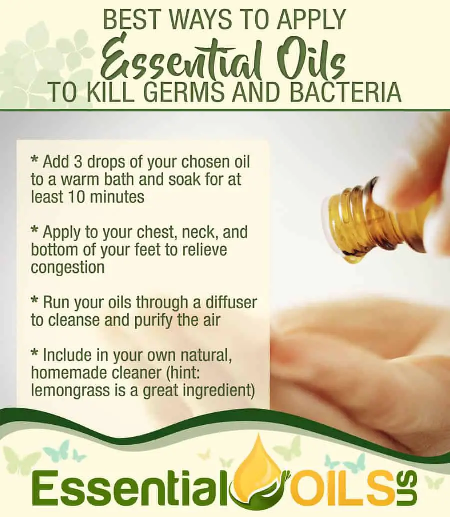 Essential Oils For Germs And Bacteria - Applying Essential Oils