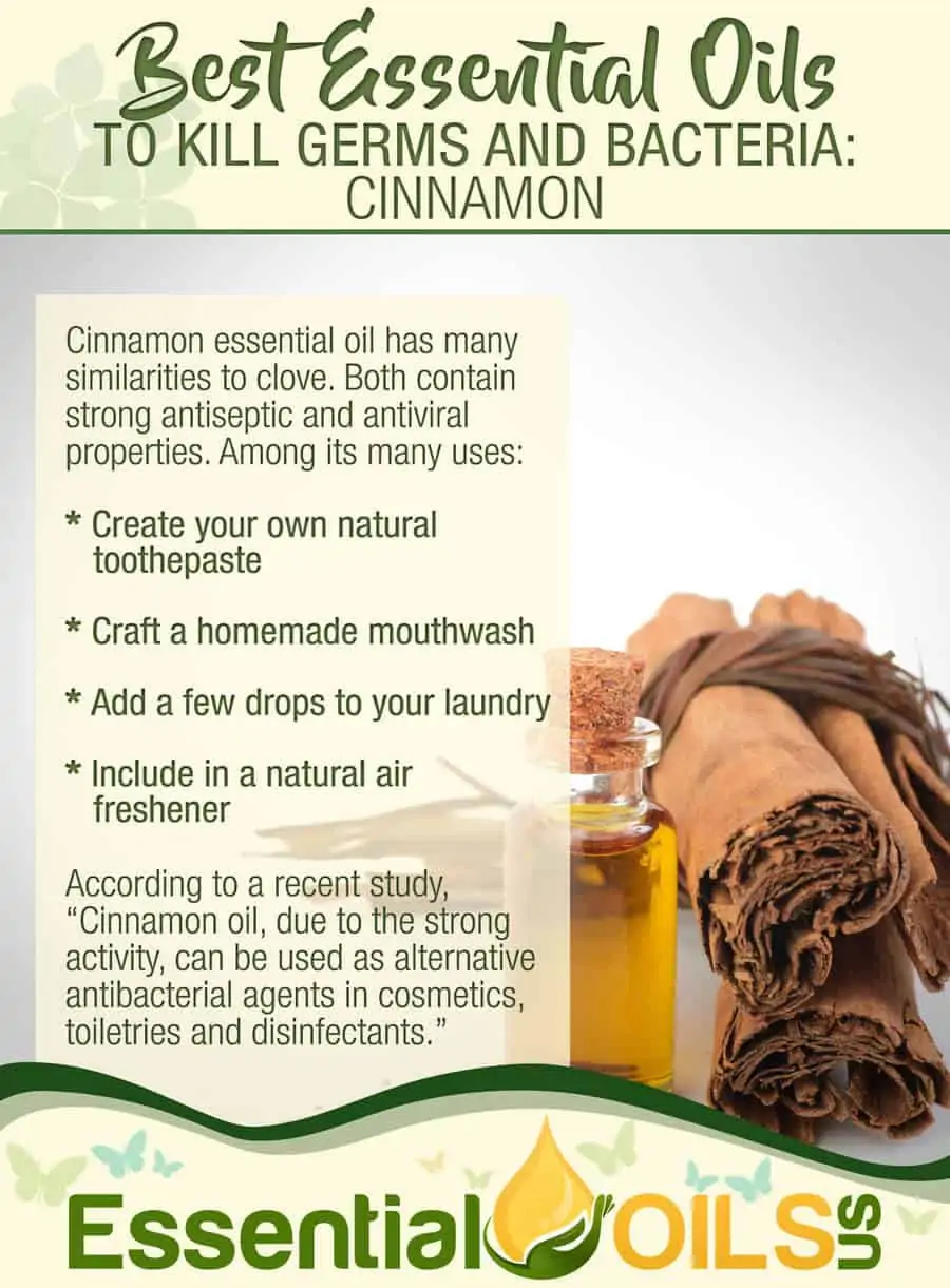 Essential Oils For Germs And Bacteria - Cinnamon