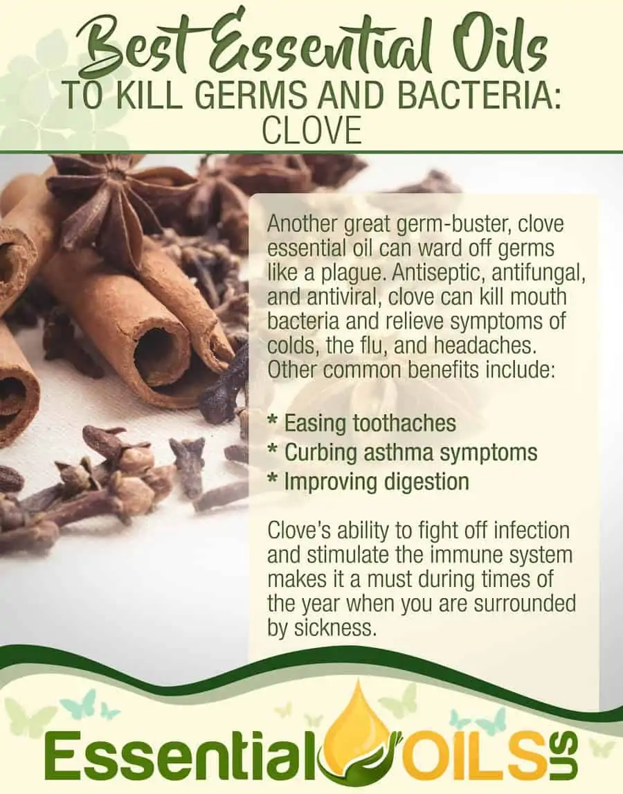Essential Oils For Germs And Bacteria - Clove