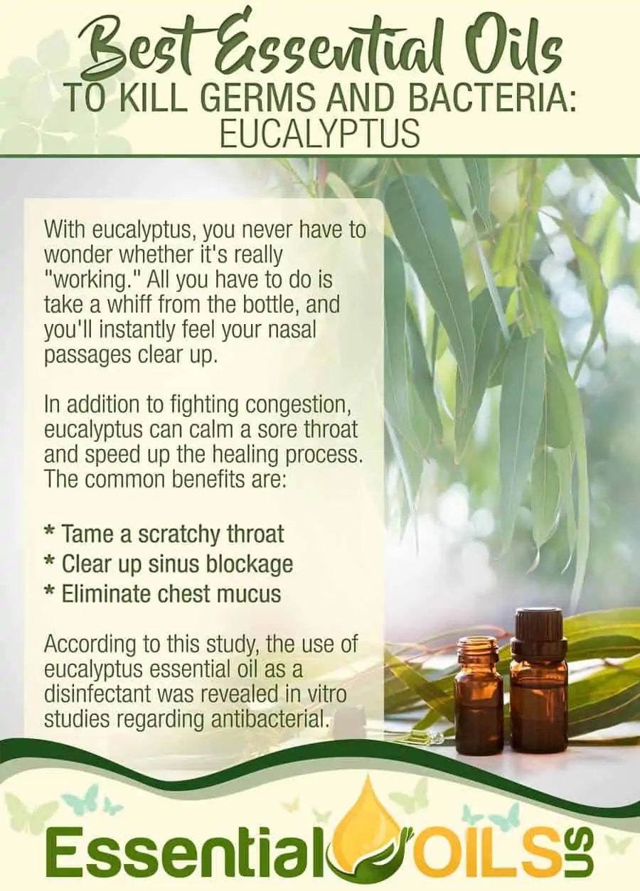 Essential Oils For Germs And Bacteria - Eucalyptus