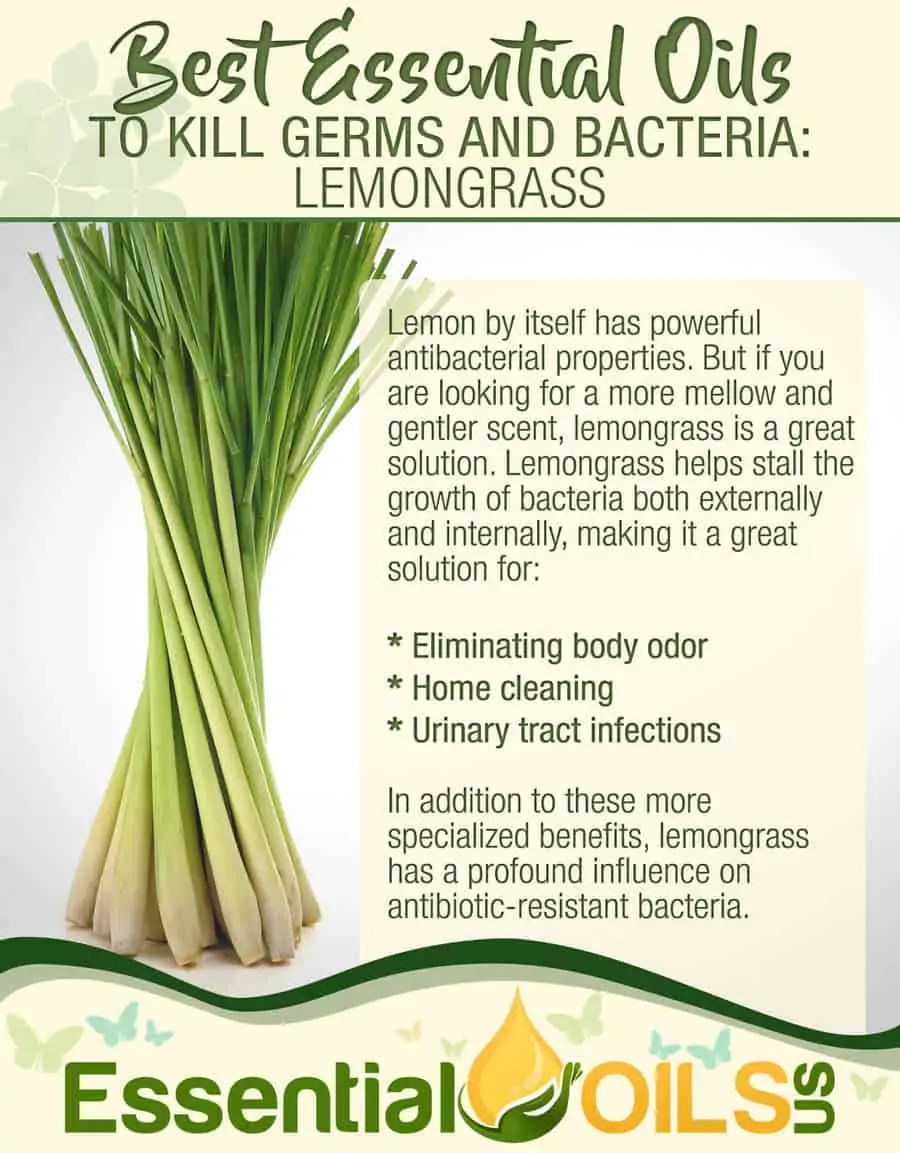 Essential Oils For Germs And Bacteria - Lemongrass