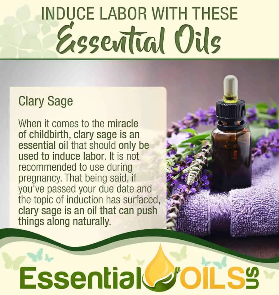 Induce Labor With Essential Oils - Clary Sage