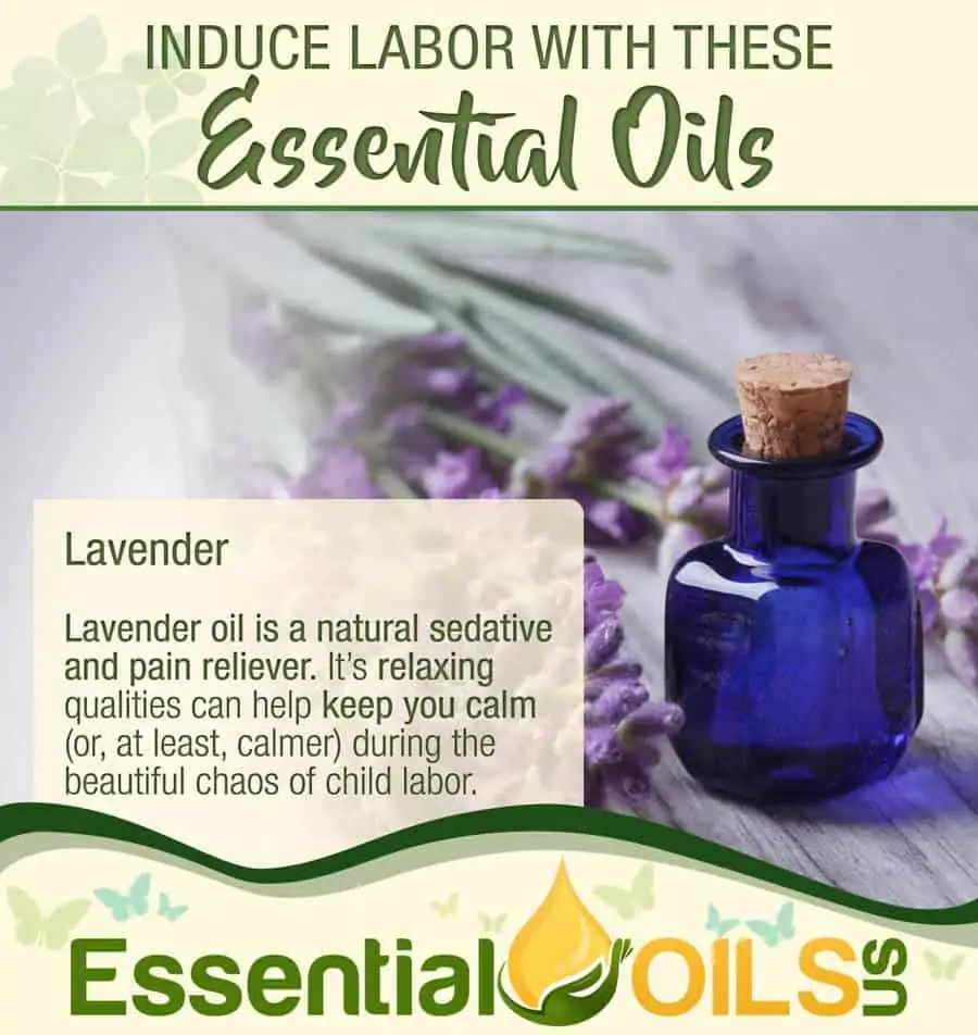 Induce Labor With Essential Oils - Lavender