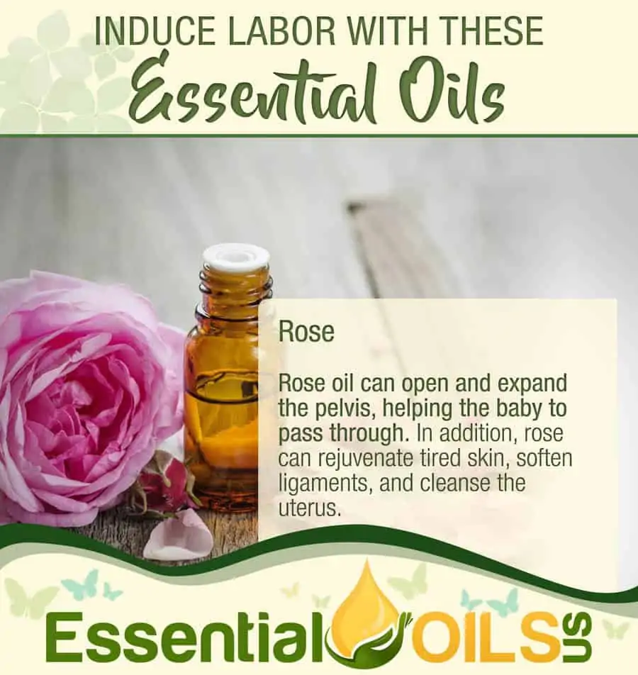 Induce Labor With Essential Oils - Rose