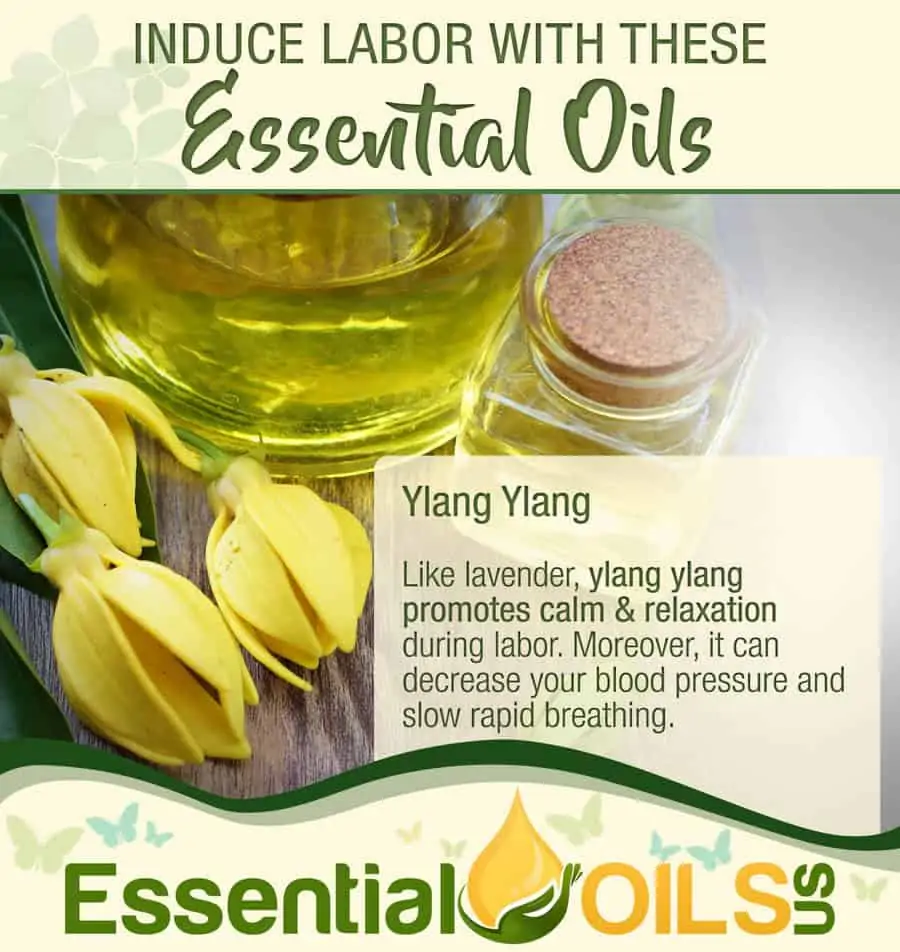 Induce Labor With Essential Oils - Ylang Ylang