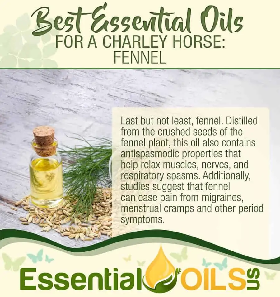 Essential Oils For Charley Horses - Fennel