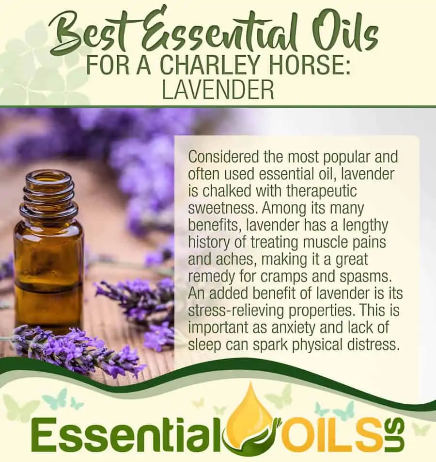 Essential Oils For Charley Horses - Lavender