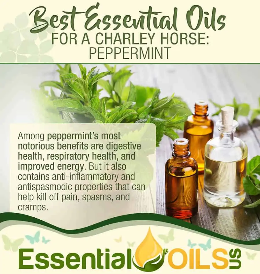 Essential Oils For Charley Horses - Peppermint