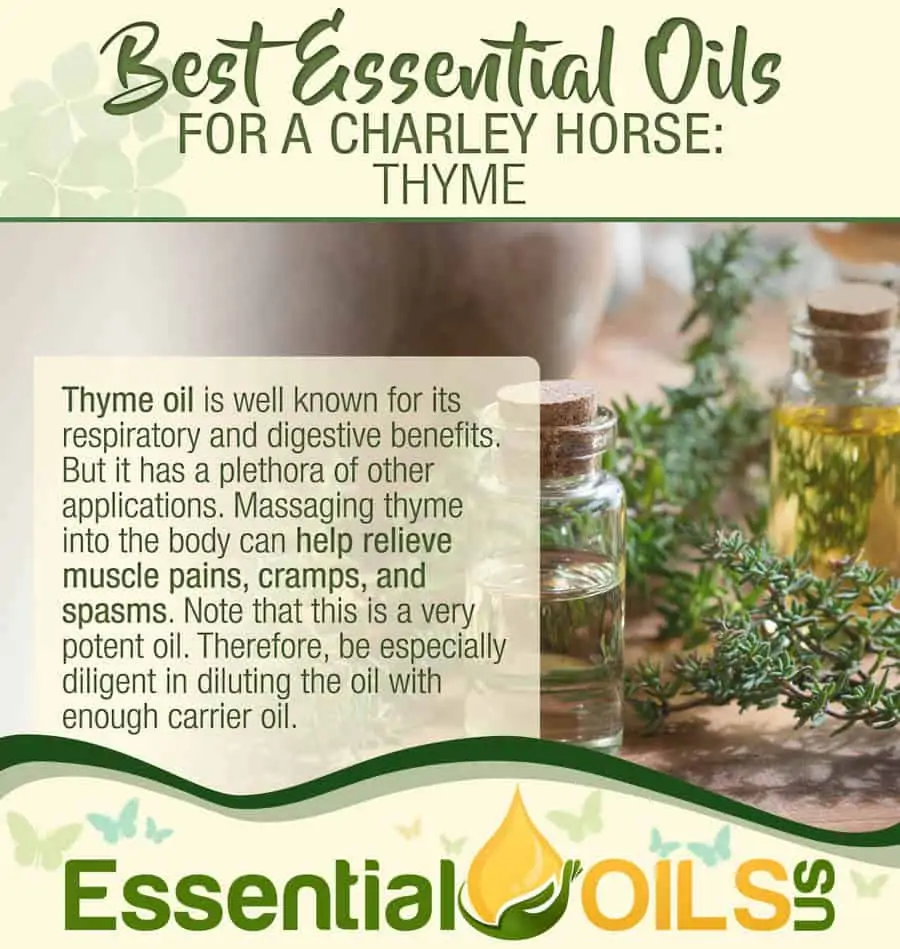 Essential Oils For Charley Horses - Thyme