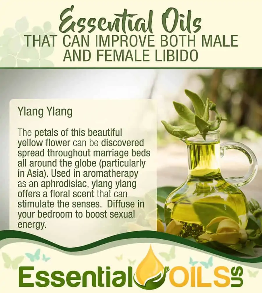 Essential Oils For Sex Drive - Ylang Ylang