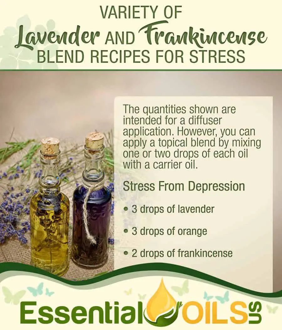 Frankincense Lavender Blends - Stress Depression