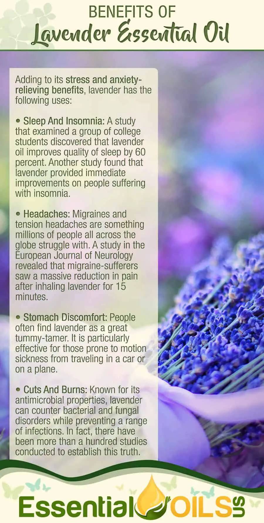 Lavender Essential Oil - Benefits