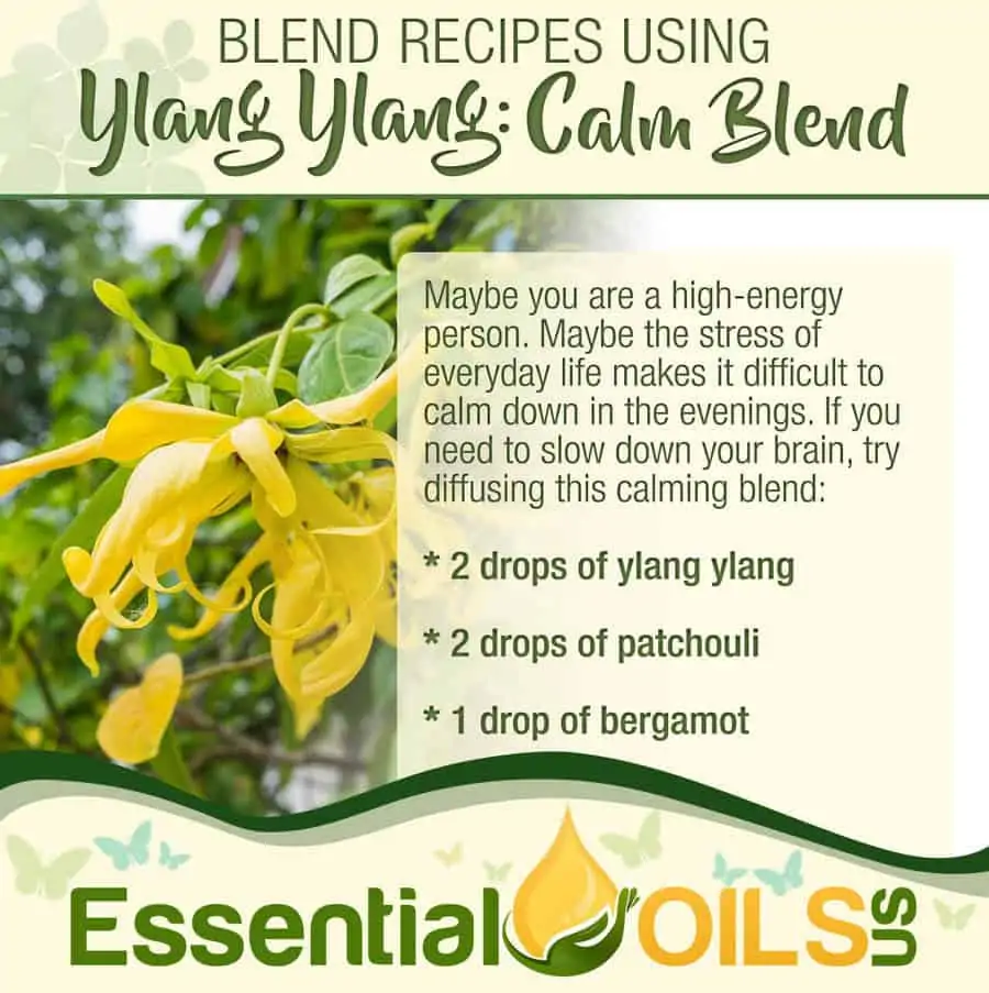 Ylang Ylang Recipe - Calm Blend