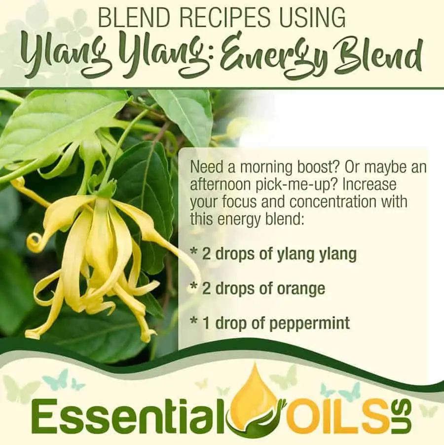 Ylang Ylang Recipe - Energy Blend
