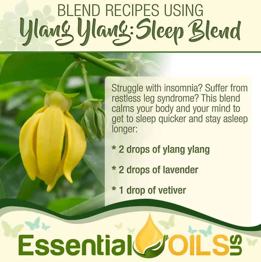 Ylang Ylang Recipe - Sleep Blend