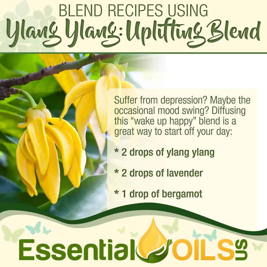 Ylang Ylang Recipe - Uplifting Blend