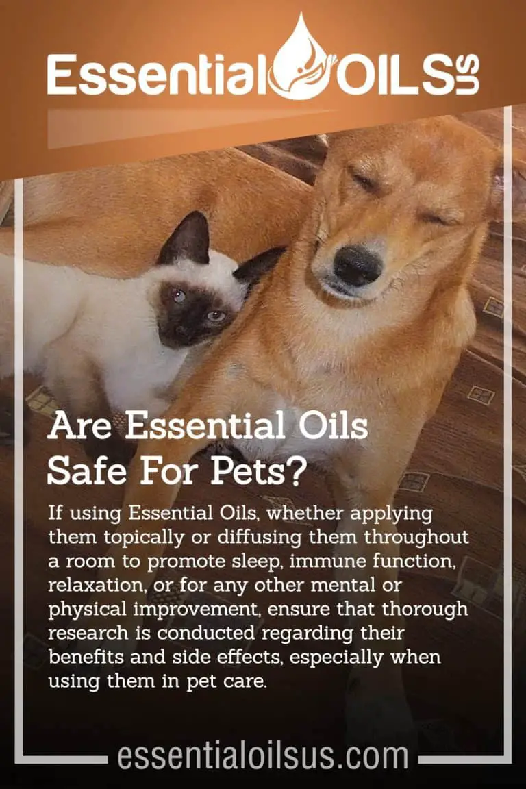Essential Oils to Calm Dogs and Cats Anxiety Essential Oils
